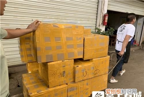 昆明野生菌交易市场6万1斤的松茸