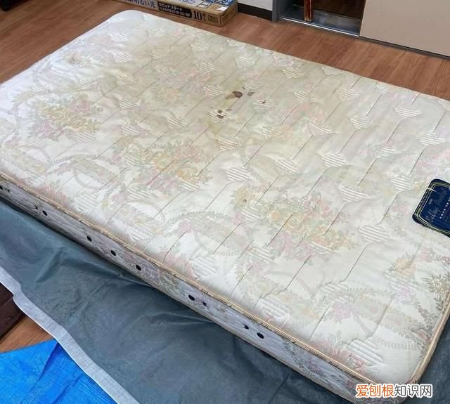 家里的废旧物品变废为宝