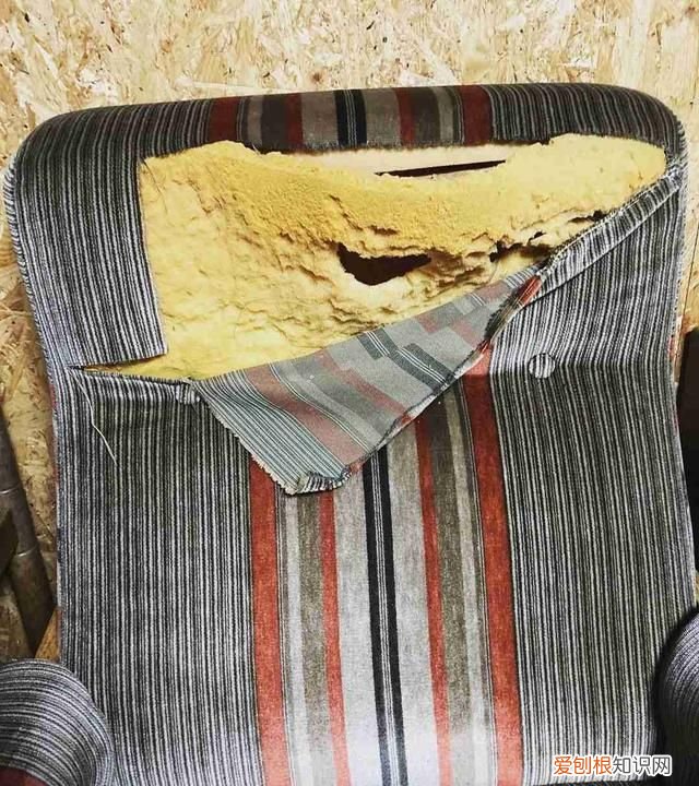 家里的废旧物品变废为宝