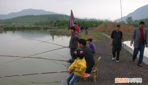 调几目钓几目是什么意思呢，钓鱼调漂调几钓几是什么意思