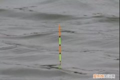 调几目钓几目是什么意思呢，钓鱼调漂调几钓几是什么意思