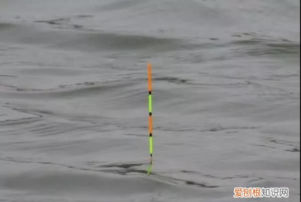 调几目钓几目是什么意思呢,钓鱼调漂调几钓几是什么意思