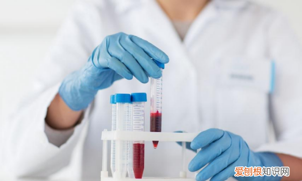 学医生需要学哪几科，医生学什么专业赚钱吗