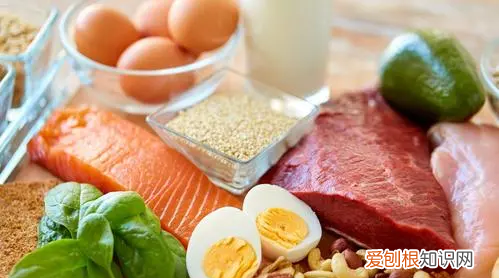 健身没有补充足够的蛋白质，蛋白质摄入不足会有什么后果