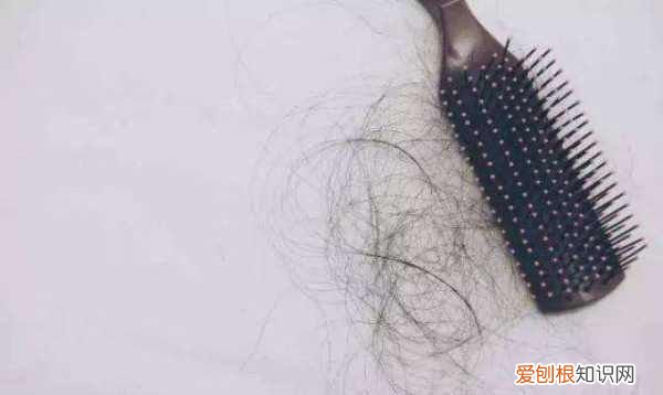 健身没有补充足够的蛋白质,蛋白质摄入不足会有什么后果