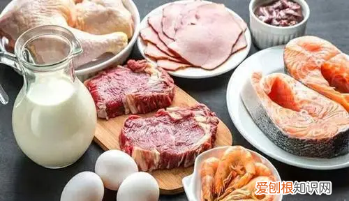 健身没有补充足够的蛋白质，蛋白质摄入不足会有什么后果