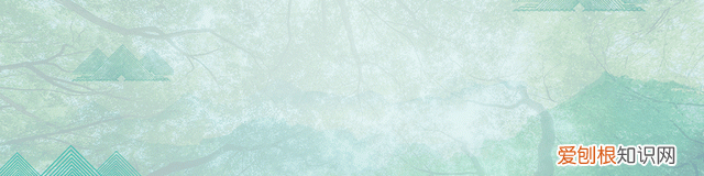 中医养生春季润肺茶,广东春季祛湿汤的最佳配方