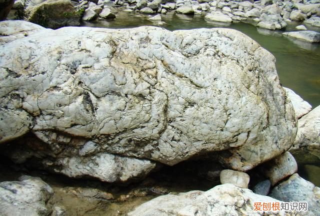 人教版二年级上册语文9·黄山奇石