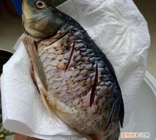 东北红烧鲤鱼的家常做法，红烧鲤鱼怎么做好吃又简单家常的