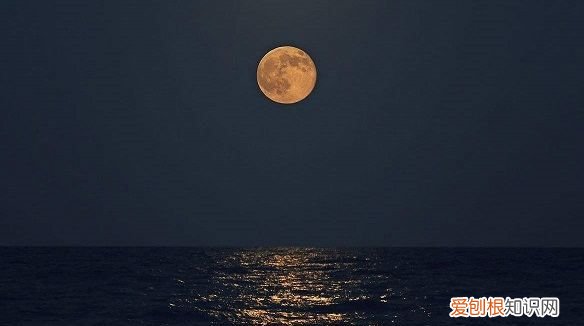 低绮户是什么意思，转朱阁低绮户的低是什么意思