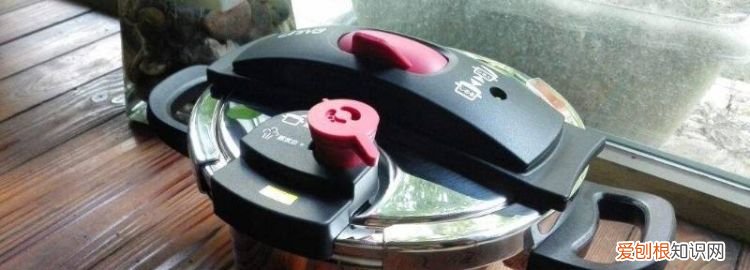 高压锅用了20年还能用吗视频 ，高压锅用了20年还能用吗为什么？