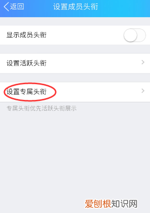 新版qq怎么设置专属头衔，qq群怎么设置专属头衔优先显示