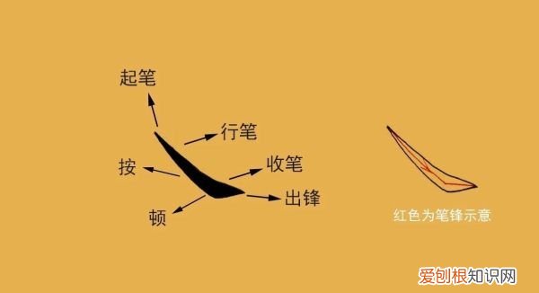 捺和提怎么书写,横竖撇捺的笔顺怎么写