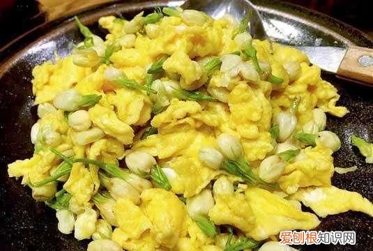 既可以观赏又好吃的绿植