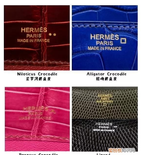 包神日记爱马仕