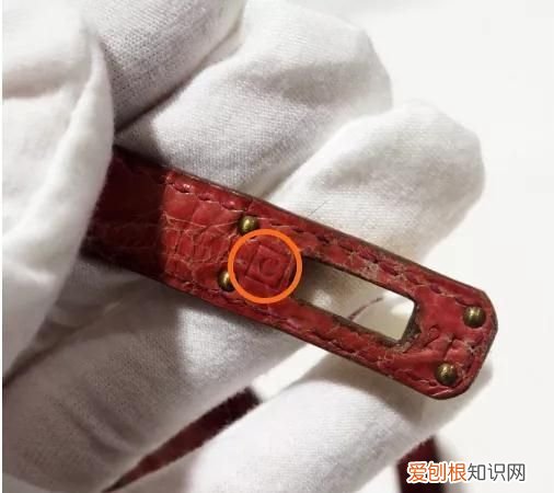 包神日记爱马仕