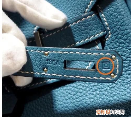 包神日记爱马仕