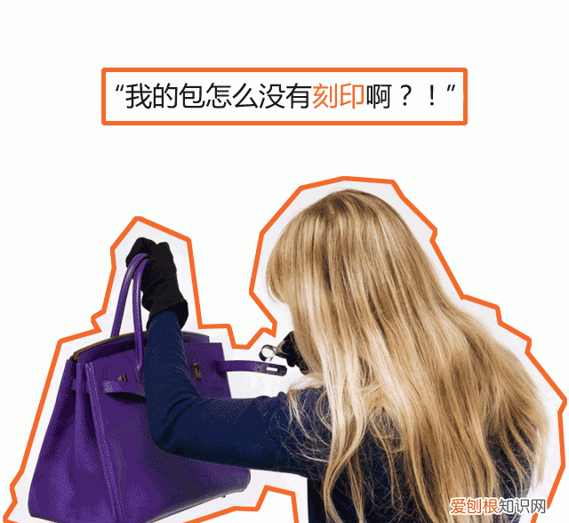 包神日记爱马仕