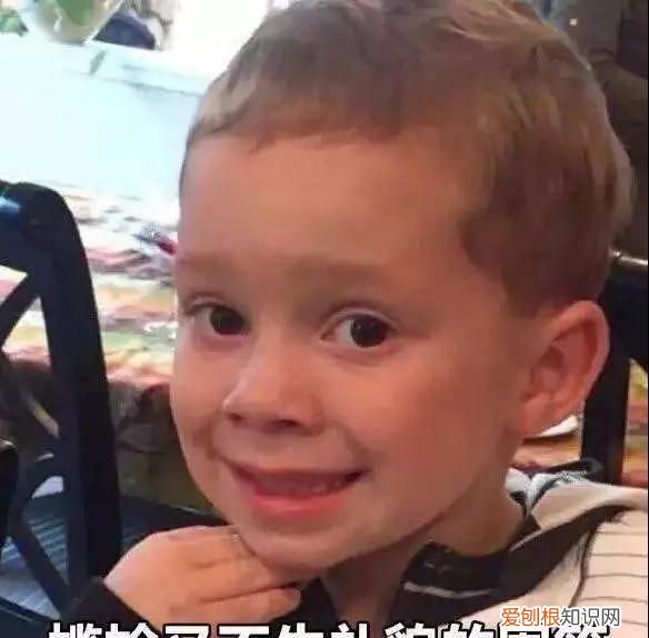 包神日记爱马仕