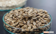 西瓜种子要泡多久才能种植，西瓜籽用温水泡几个小时才好