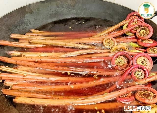 春天山里蕨菜味道脆爽下饭,蕨菜怎么收藏到冬季吃