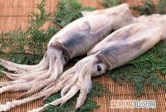 大虾的营养价值,大虾的营养价值表