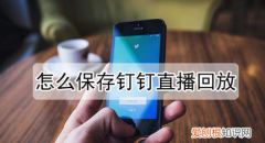 怎样钉钉直播回放，钉钉直播怎么回放保存