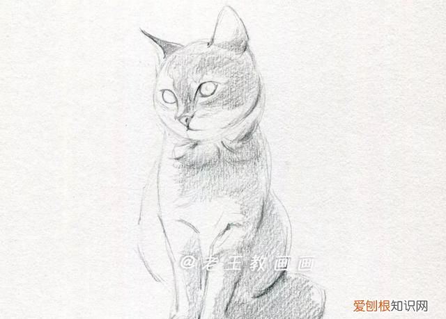 原来画一只猫咪这么简单的画法,画一只猫咪简单又漂亮