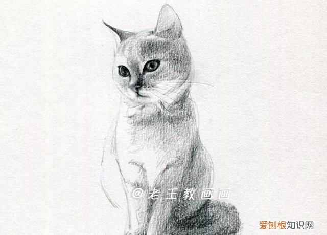 原来画一只猫咪这么简单的画法,画一只猫咪简单又漂亮
