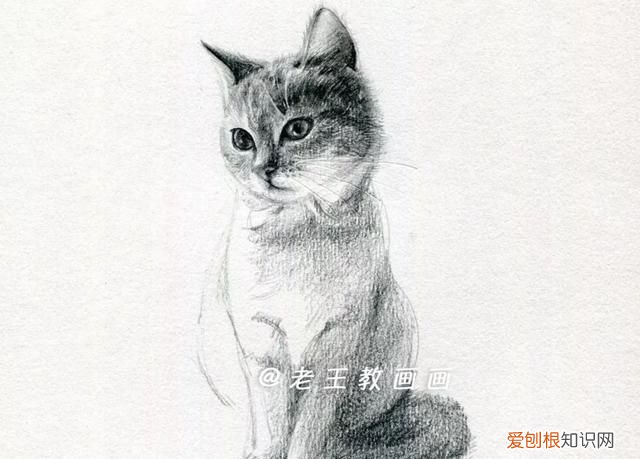 原来画一只猫咪这么简单的画法,画一只猫咪简单又漂亮