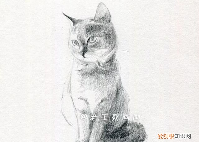 原来画一只猫咪这么简单的画法,画一只猫咪简单又漂亮