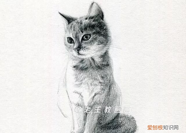 原来画一只猫咪这么简单的画法,画一只猫咪简单又漂亮
