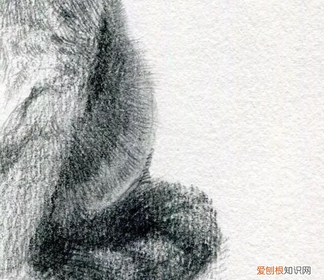 原来画一只猫咪这么简单的画法,画一只猫咪简单又漂亮