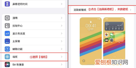 苹果怎么设置壁纸，苹果手机怎么设置壁纸