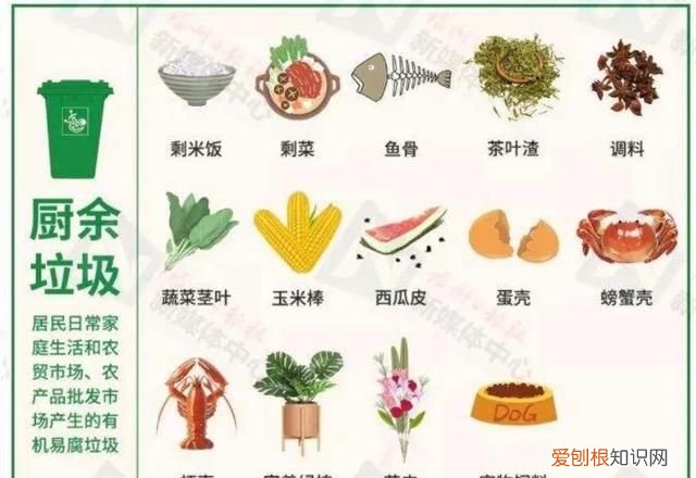 送给孩子们的礼物——系统全面地学习垃圾分类，做个有修养的人