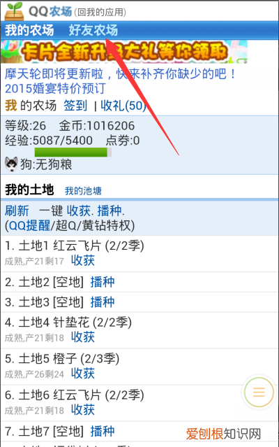 qq农场偷菜怎么玩，qq农场手机版下载