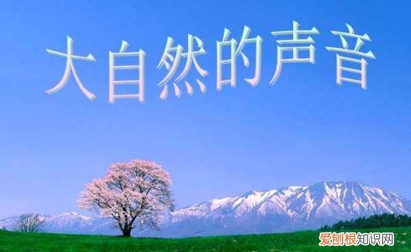 大自然的声音激发了我们什么情感