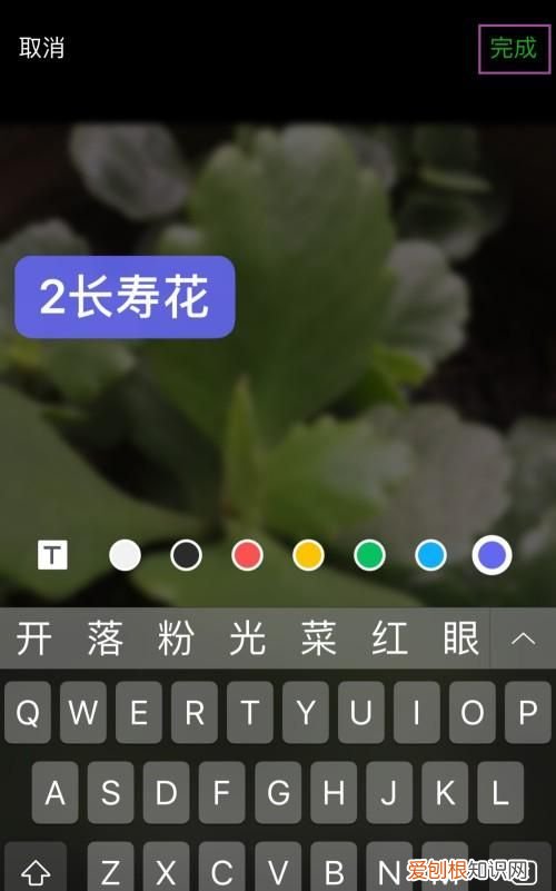 手机照片怎么添加文字，手机相册里的照片怎样换背景