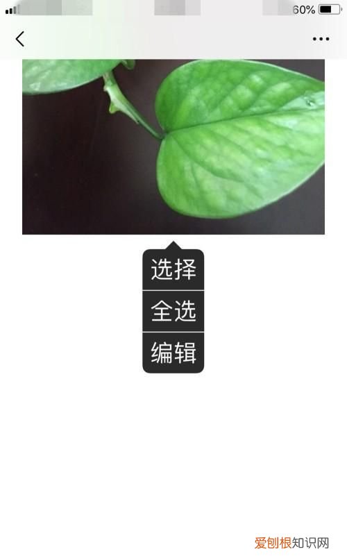 手机照片怎么添加文字，手机相册里的照片怎样换背景