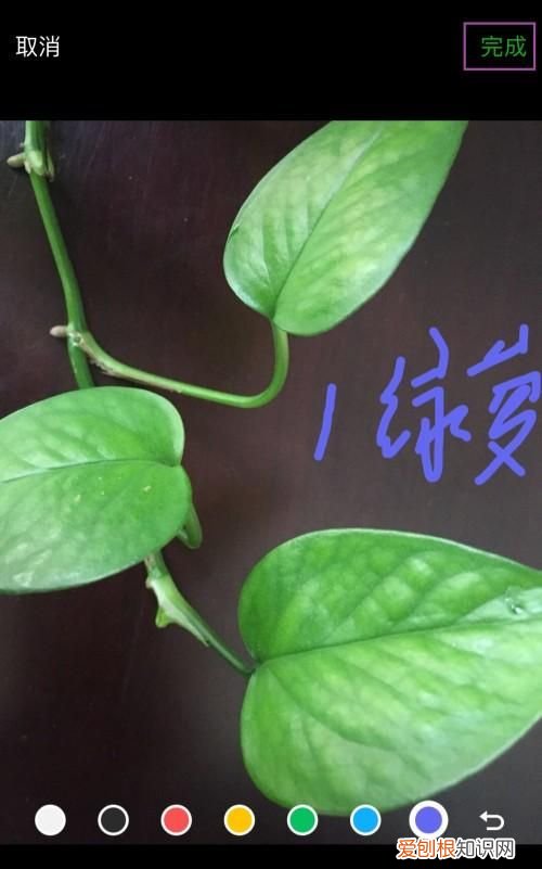 手机照片怎么添加文字，手机相册里的照片怎样换背景