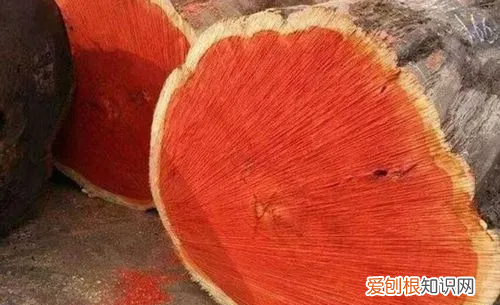 化学物质什么极易被氧化而呈红色