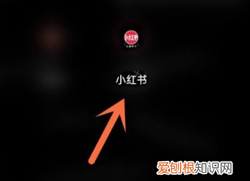 小红书怎么自定义配乐,小红书拍的里面钱的声音在哪里添加呢
