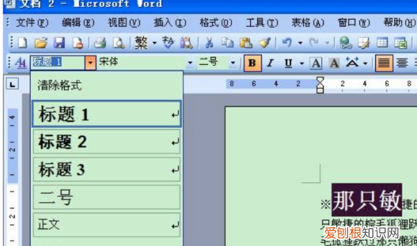 一级二级标题怎么设置，word中怎样显示分级标题