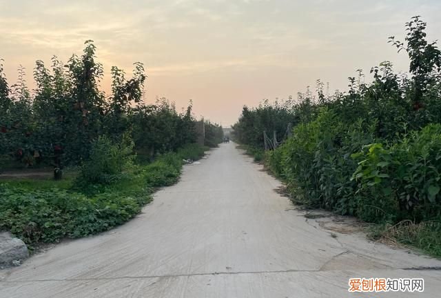每天运动消耗多少千卡合适 每天运动