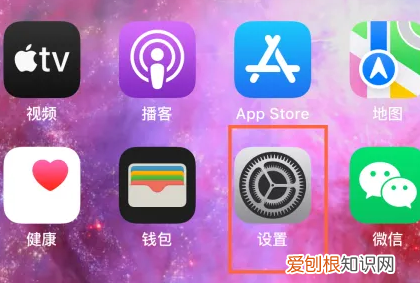 苹果续费订阅怎么取消，苹果13在哪里关闭自动续费订阅