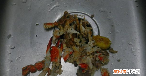 蟹壳属于什么垃圾,大闸蟹的壳属于什么垃圾