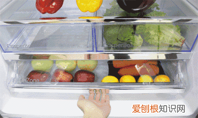 米缸里有很多黑粒虫怎么办?,米缸里有黑色的小虫怎么办