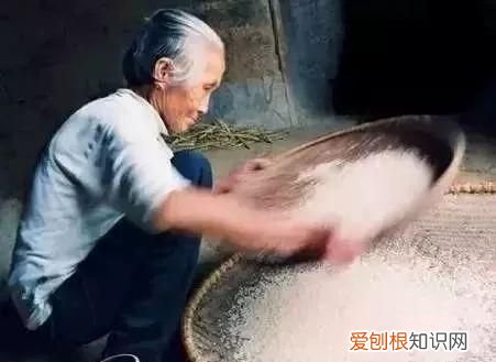 米缸里有很多黑粒虫怎么办?,米缸里有黑色的小虫怎么办