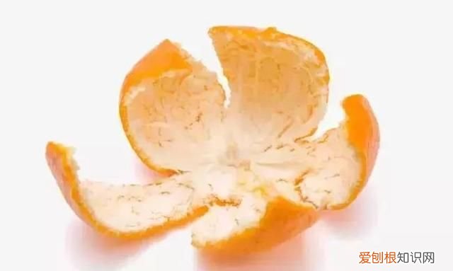 米缸里有很多黑粒虫怎么办?,米缸里有黑色的小虫怎么办