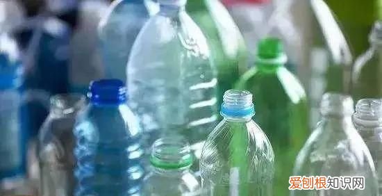 米缸里有很多黑粒虫怎么办?,米缸里有黑色的小虫怎么办